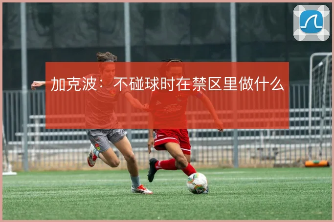 加克波：不碰球时在禁区里做什么